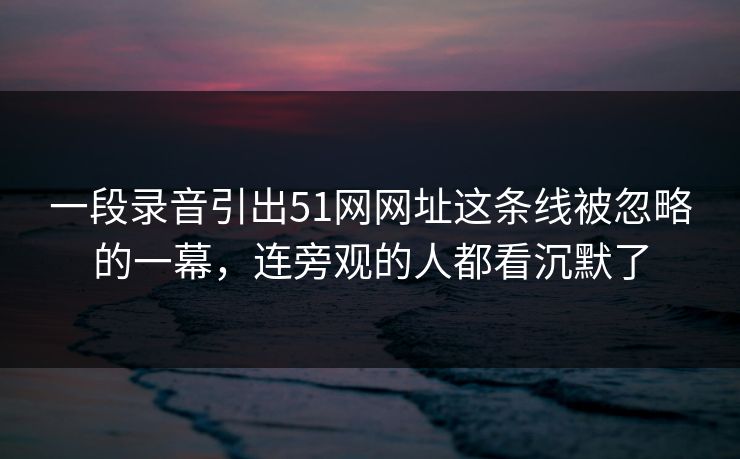 一段录音引出51网网址这条线被忽略的一幕，连旁观的人都看沉默了